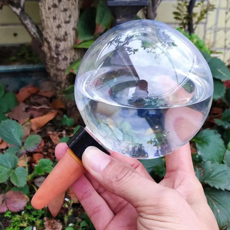 500ml Automatic Watering Bulbs Transparent Watering ball Spikes Reusable Balcony Plants Flowers Watering Device