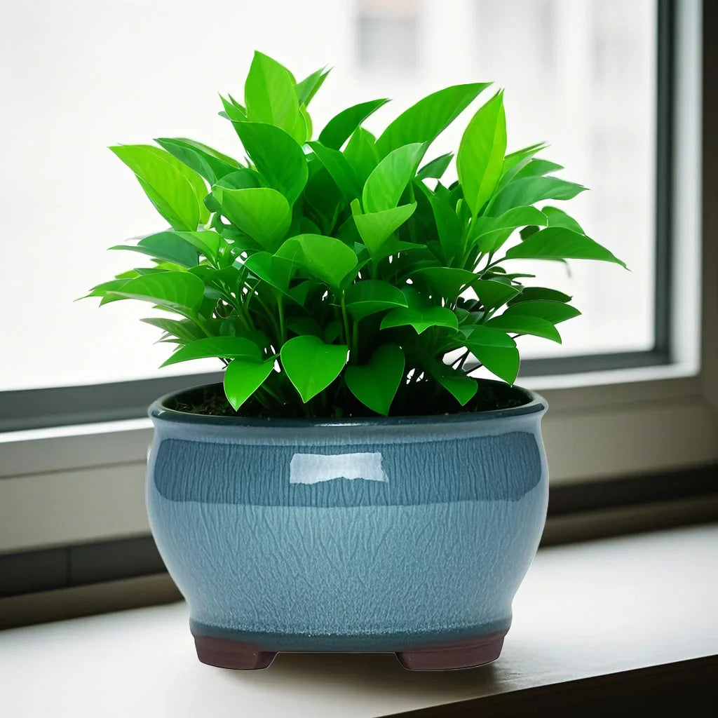 Ceramic Garden Planter Pots Ceramic Plant Pots with Drainage Holes for Indoor Flowers Cactus Herbs Aloes