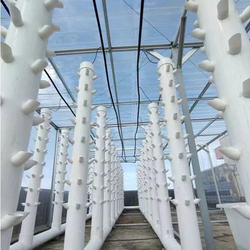 AC23-10 Sets Hydroponic Soil-Free Growing System DIY Hydroponic Nursery Garden Kit