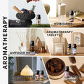 10ml Cookies Perfume Cookies Fragrance Essential Oils Aromatherapy Gourmand Perfume For Diffusers Candle/Soap Making Skincare