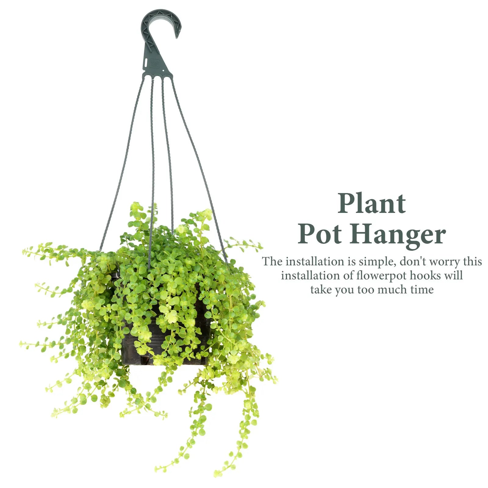 5pcs Plastic Plant Hanging Basket Hooks Hanging Planter Holder multiuse Flower Pot Hangers Garden Basket Hanging Chains 4 Hooks