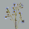 52cm Artificial 3-fork Daucus Carota Flower Wedding Home Decoration Flores Artificiales Para Decoracion Hogar Flowers