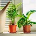 2 Pcs Small Plant Potted Plants Garden Markers Compact Stakes Mini Watering Can Pots Identification Labels Wooden