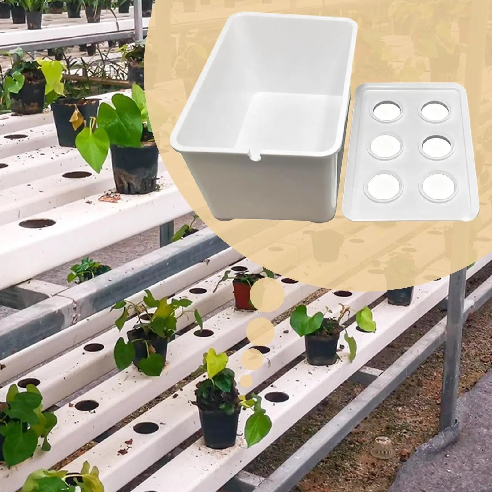 Hydroponics Growing System Kit 6-Holes Cultivation System Garden Cultivation Box For Vegetables Flowers Fruits Indoor Outdoor