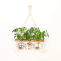 Wall Hanging Planter Flower Pot Wooden Frame Home Office Garden
