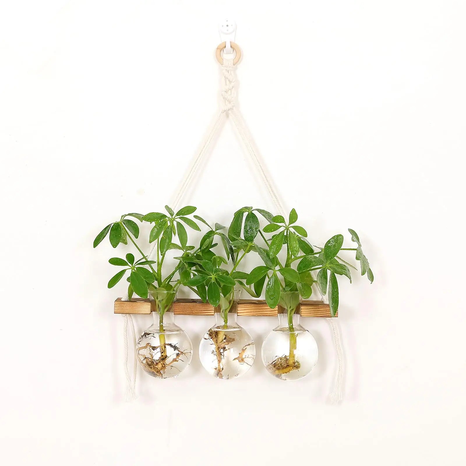 Wall Hanging Planter Flower Pot Wooden Frame Home Office Garden