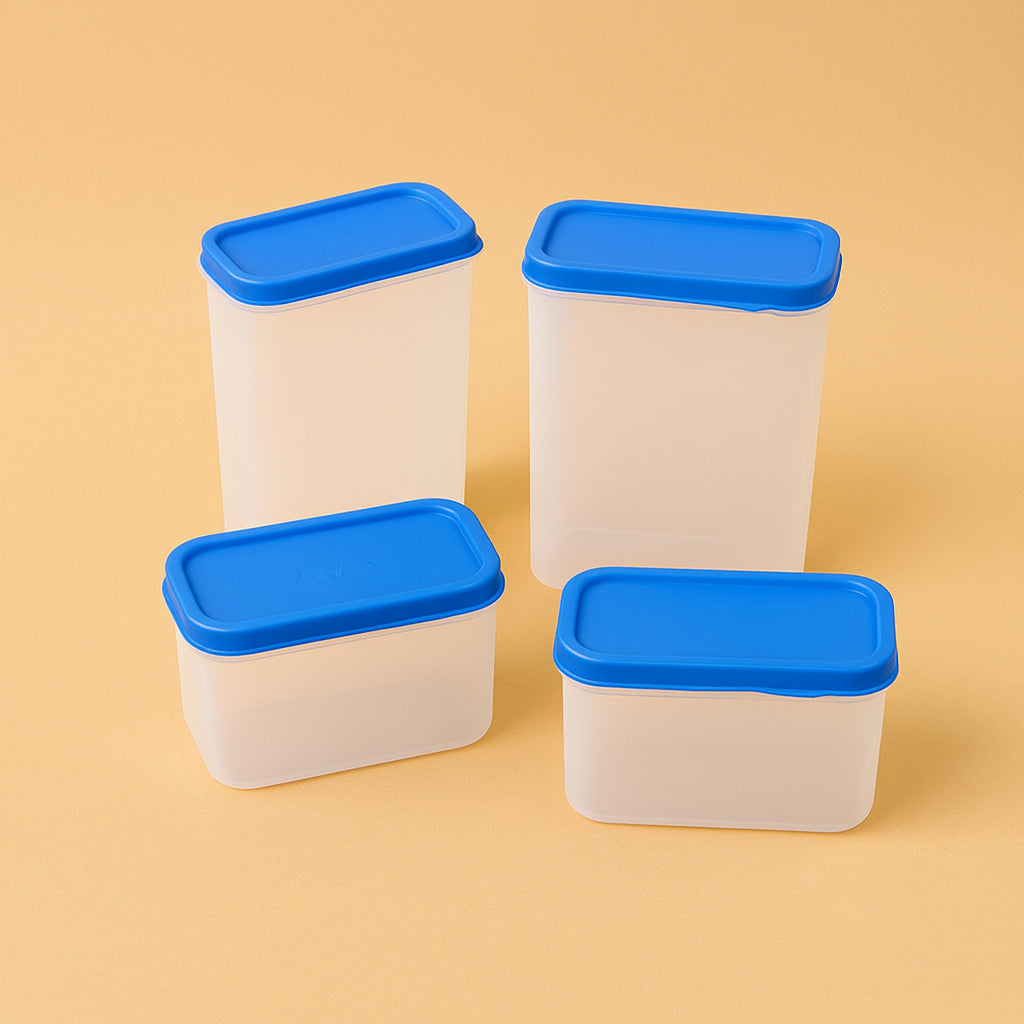 Apex Glory Plastic Storage Container Box Set (4 Pc)