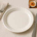 Plastic Round Dinner  Serving Plate  23 Cm (1 Pc)